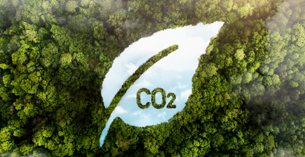 Sustainability in Schools - Carbon Offsets - Greenwashing
